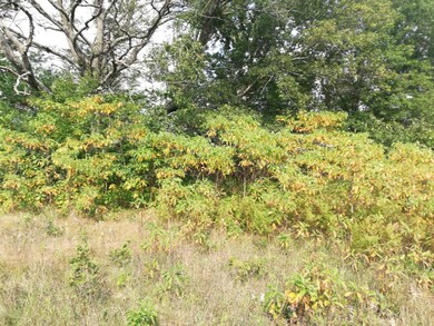 IMG_20200916_150316