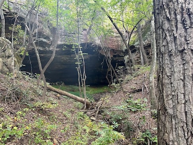 Lot 8 Junaluska Dr, Jamestown, TN 38556 - photo 5