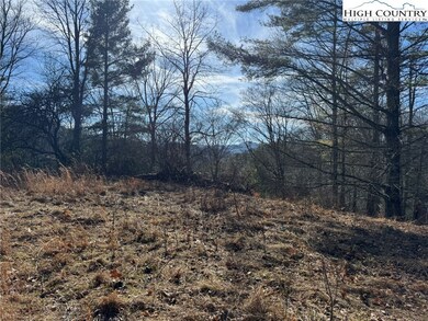 Potential year round view