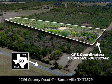 12191 County Road 414, Somerville, TX 77879 - photo 7