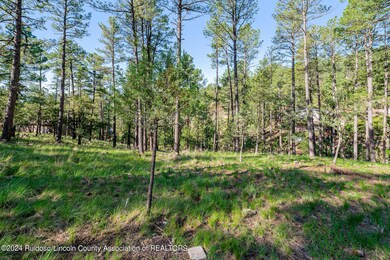 321 Hemlock Cir 3