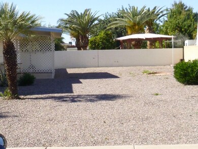 Easy care back yard