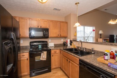 8310 Arbor Meadow Way unit 107, Louisville, KY 40228 - photo 4
