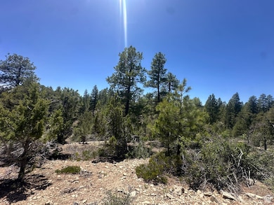 View of undeveloped land
