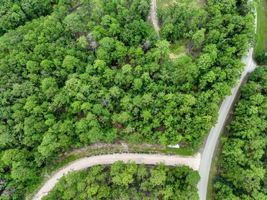 35440-35442 Wembley Dr, Sam Rayburn, TX 75931 - photo 5