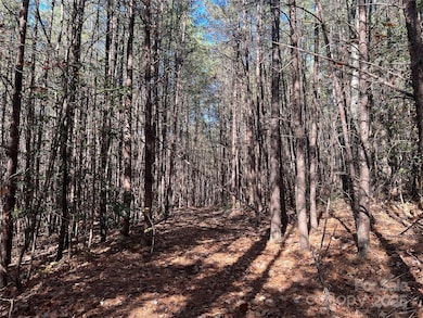 740 N Fork Rd, Bostic, NC 28018 - photo 5