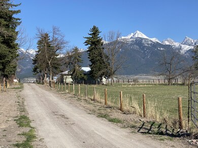 IMG_9918
