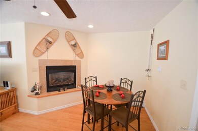 414 Tenderfoot St unit 9, Dillon, CO 80435 - photo 5