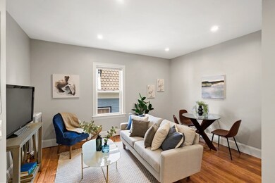 17 Van Winkle St unit 1, Dorchester Center, MA 02124 - photo 6