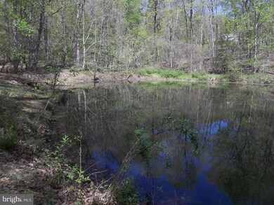 0 Wild Turkey Ct, Front Royal, VA 22630 - photo 5