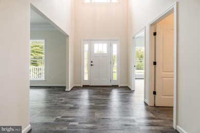 221 Mt Hope Church Rd, Stafford, VA 22554 - photo 4