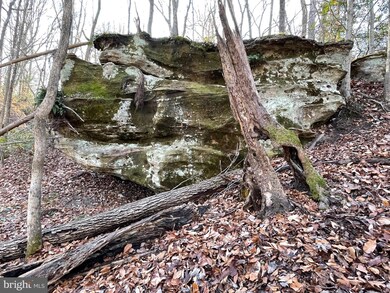 0 Madrid Ln unit VAST2015862, Stafford, VA 22554 - photo 4