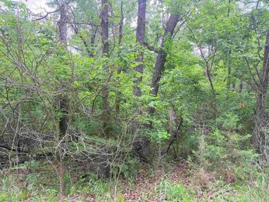 Highlander Place unit J 2, Edwards, MO 65326 - photo 6