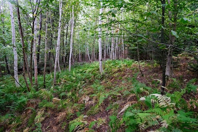 00 Evergreen Acres, Ludlow, VT 05149 - photo 6