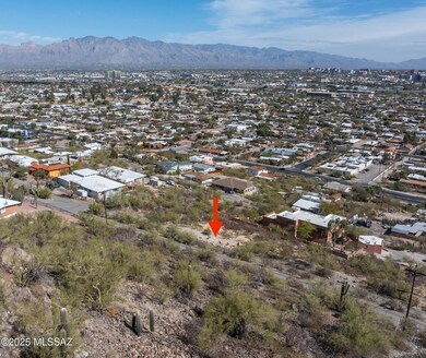 16 N Panorama Feb 2025 v2-