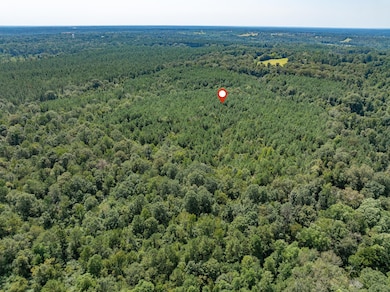 00 Mississippi 588, Collins, MS 39428 - photo 2