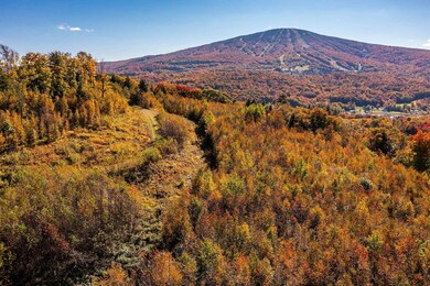 74 Upper Taylor Hill Rd, Winhall, VT 05340 - photo 3