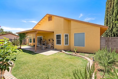 3 Backyard-7