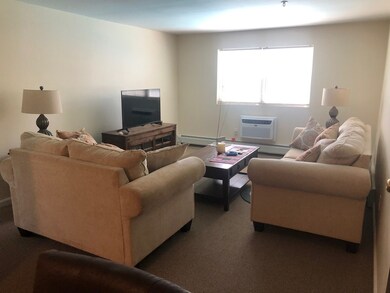 361 Hildreth St unit 21, Lowell, MA 01850 - photo 4