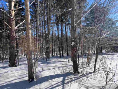 0598 Magee Rd S, Boyne Falls, MI 49713 - photo 7