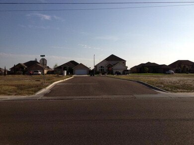 518 Elena Ln, Alamo, TX 78516 - photo 5