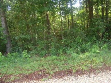 0 Mary & Marsha Dr, Slidell, LA 70458 - photo 2