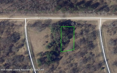 Screen Shot 2025-03-21 at 3.08.51 PM