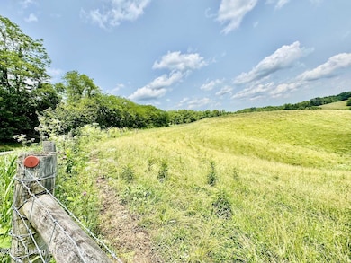 3650 Baker Ridge Rd, Willisburg, KY 40078 - photo 5