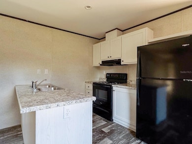 9448 Rousseau St, Webster, FL 33597 - photo 4