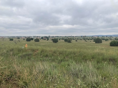 33 Rory Rd, Edgewood, NM 87015 - photo 6