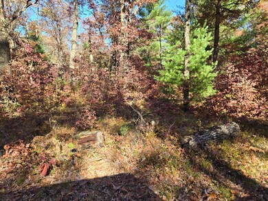 V/L Michigan 37, Baldwin, MI 49304 - photo 2