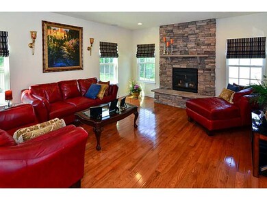 Den/Family/Great Room. Floor to ceiling stone Fire