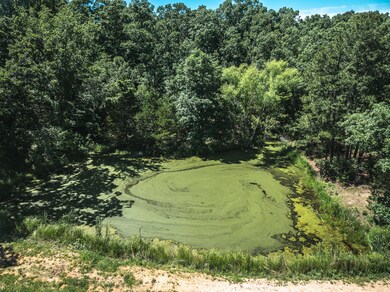 000 Highway 19, Cherryville, MO 65560 - photo 4