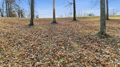 481 Hidden Forest Trail, Spring City, TN 37381 - photo 5