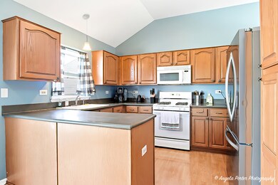 2019 Aspen Dr, Woodstock, IL 60098 - photo 7