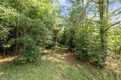 0 Holman Mill Rd unit 1151566, 8, Newlin, NC 27349 - photo 5