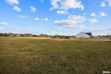 1920 - 1922 Mayflower Dr, Elm Grove Township, IL 61554 - photo 4