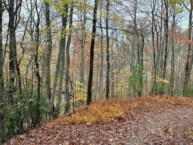 0 Poplar Ridge Ln, Franklin, NC 28734 - photo 3