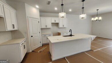 320 Silverleaf Trail, Bethlehem, GA 30620 - photo 6