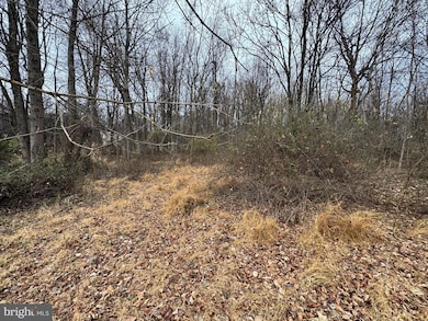 0 Peach Tree Rd unit MDMC2210762, Dickerson, MD 20842 - photo 7