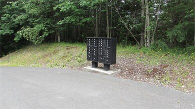 25827 186th St E, Orting, WA 98360 - photo 6