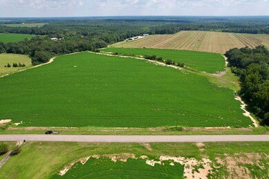 0 Judge Logue Rd, Wicksburg, AL 36352 - photo 7