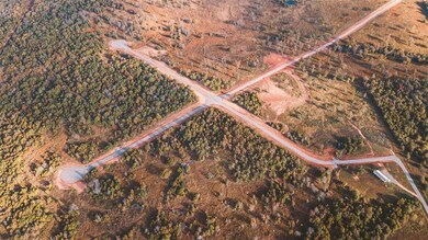 View of bird's eye view