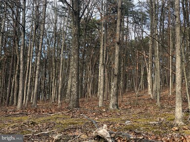 0 Little Cacapon Mountain, Gore, WV 26704 - photo 4