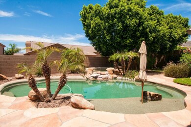 016_Backyard Pool
