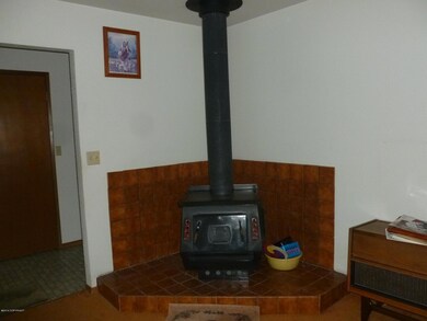 Wood stove1