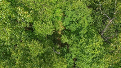 2795 Raulston Falls Rd, Jasper, TN 37347 - photo 7