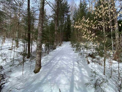 203 W Forest Lake Rd, Bethlehem, NH 03574 - photo 4