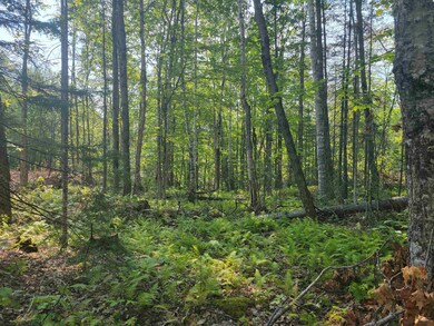 7-428 Wyman Rd, Grafton, NH 03240 - photo 7