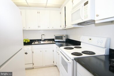 3501 S Stafford St unit B1, Arlington, VA 22206 - photo 6